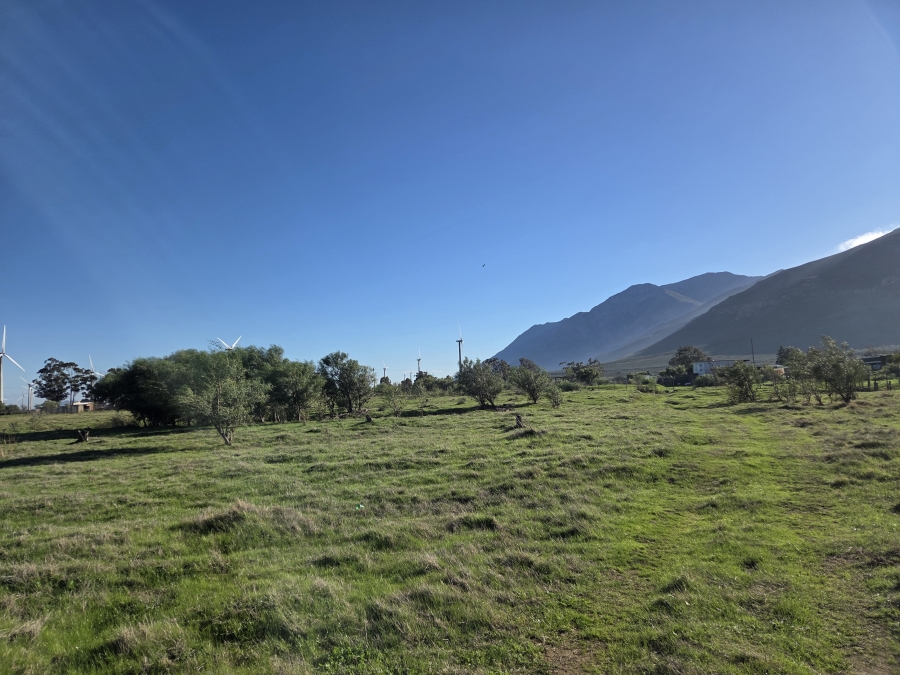 0 Bedroom Property for Sale in Gouda Western Cape